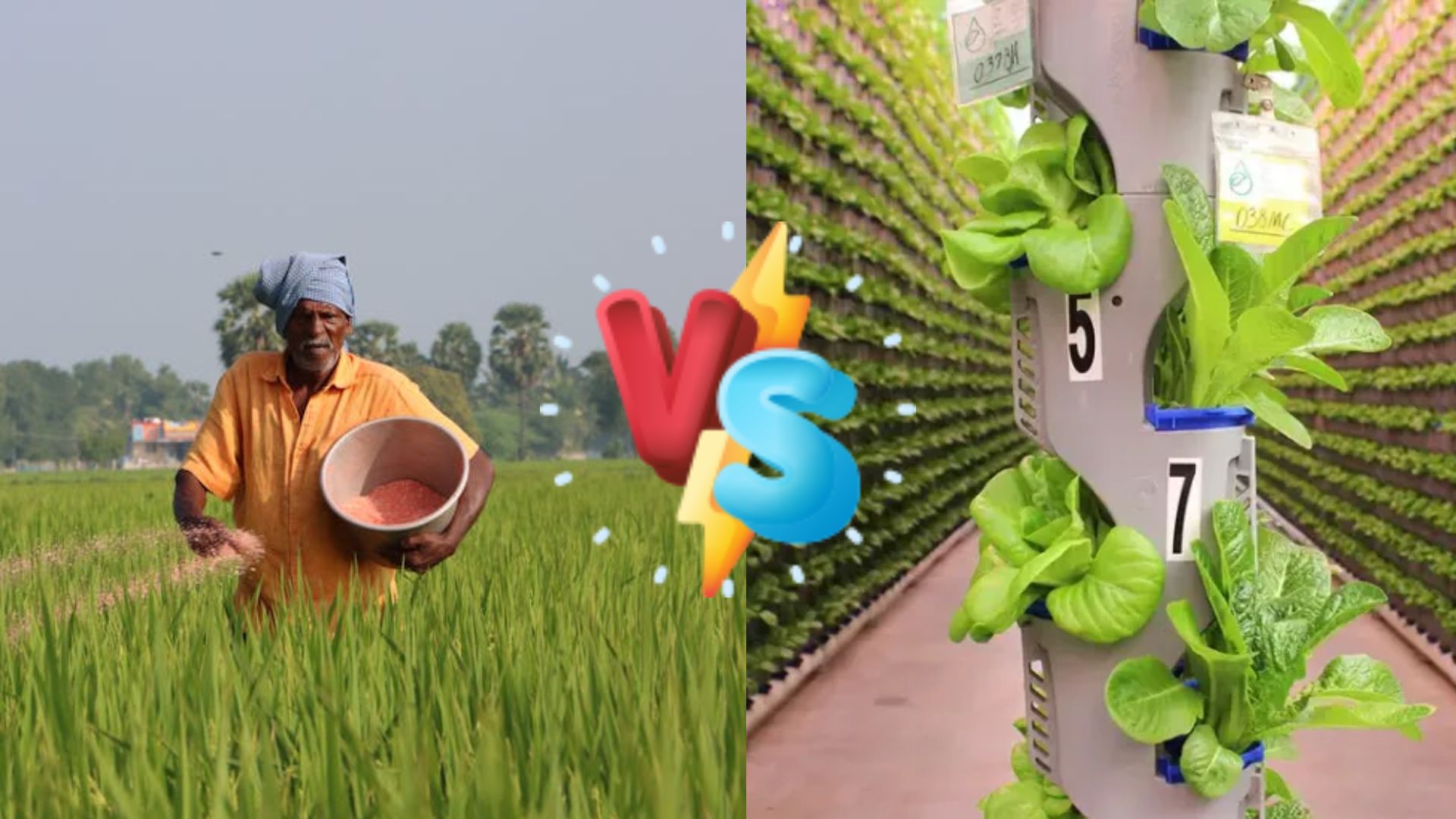 Contrast between Traditional Farming & Vertical Farming