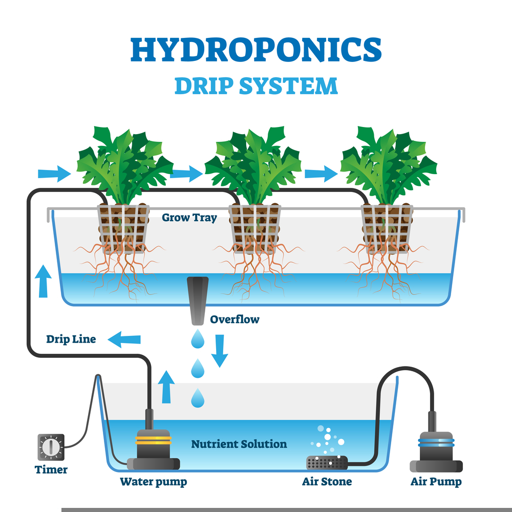 Working of Hydroponics Drip System