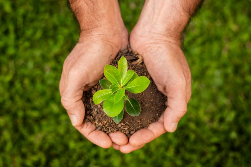 Sustainable Agricultural Practices