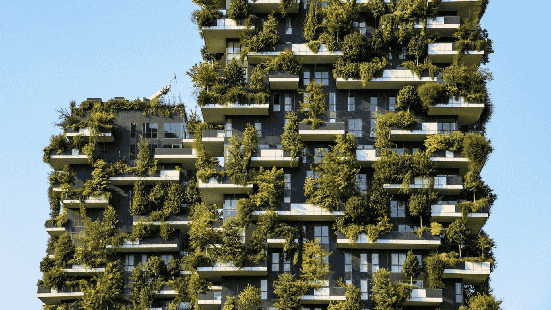 Urban Agriculture Overview
